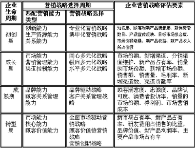 天法道：企業(yè)生命周期管理中的營(yíng)銷戰(zhàn)略評(píng)估