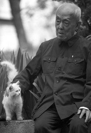 季羨林 季羨林